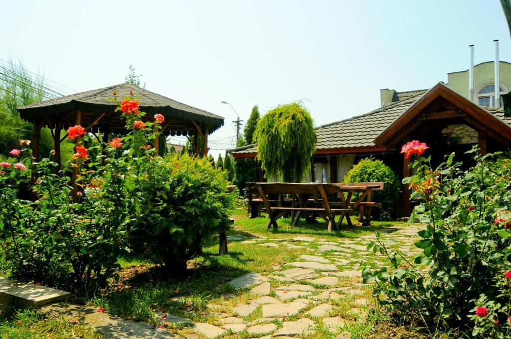 Hotel Pension La Cupola Târgu-Mureş Exterior foto